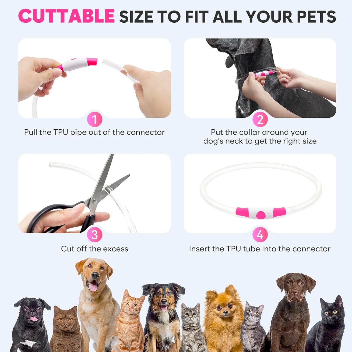 Light up Dog Collar