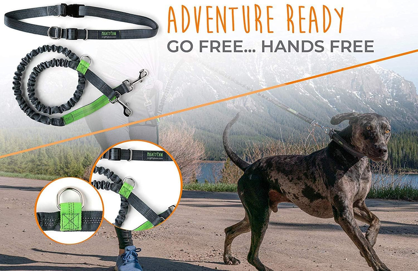 Hands Free Dog Leash