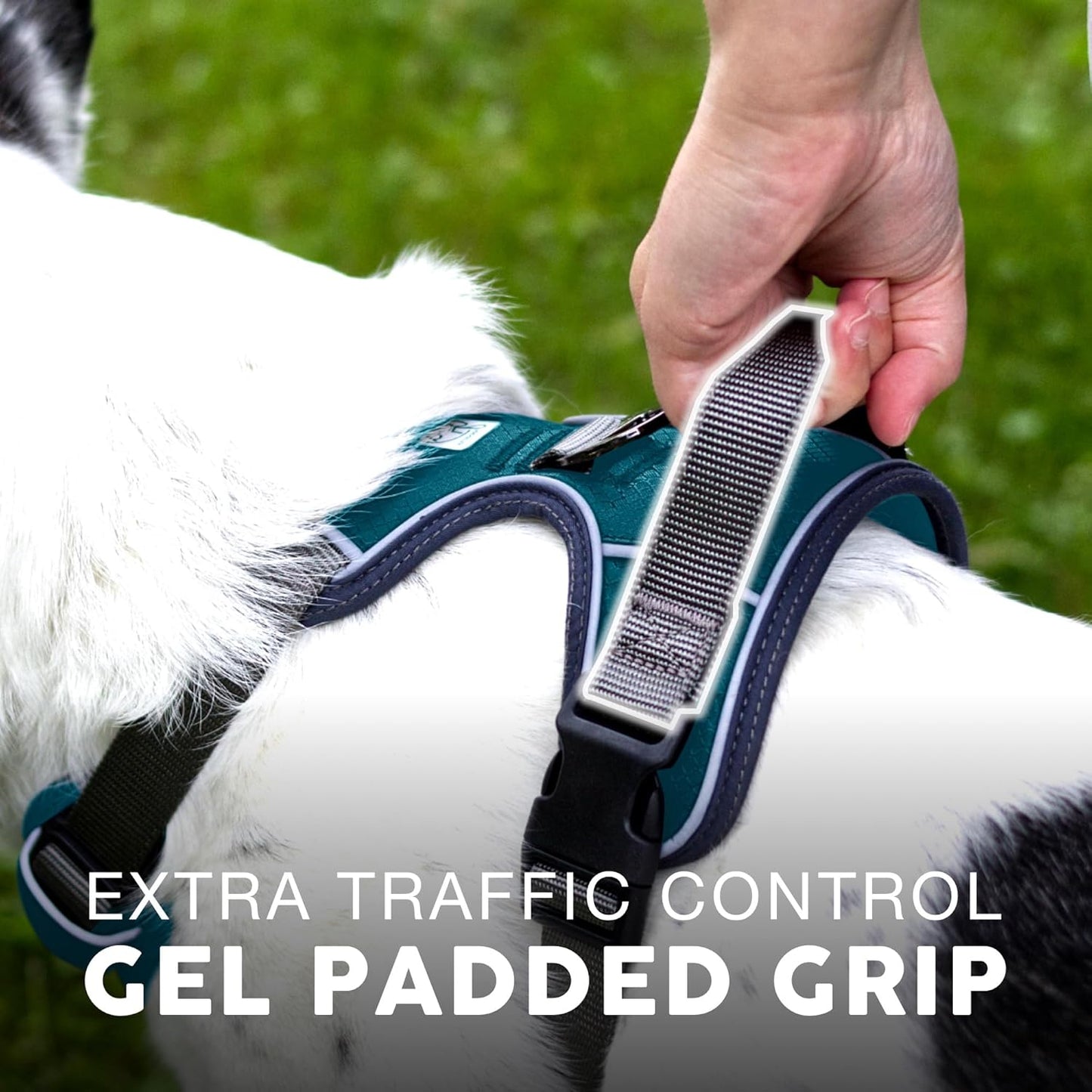 Dog Harness
