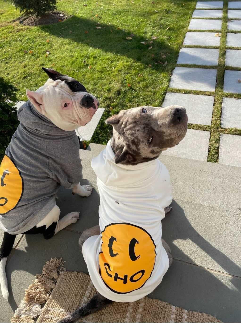 Smiley Face Dog Hoodie – Stylish Cotton Sweatshirt for Dogs & Cats, Cozy Pet Outfit for Small to Large Breeds (L, White)