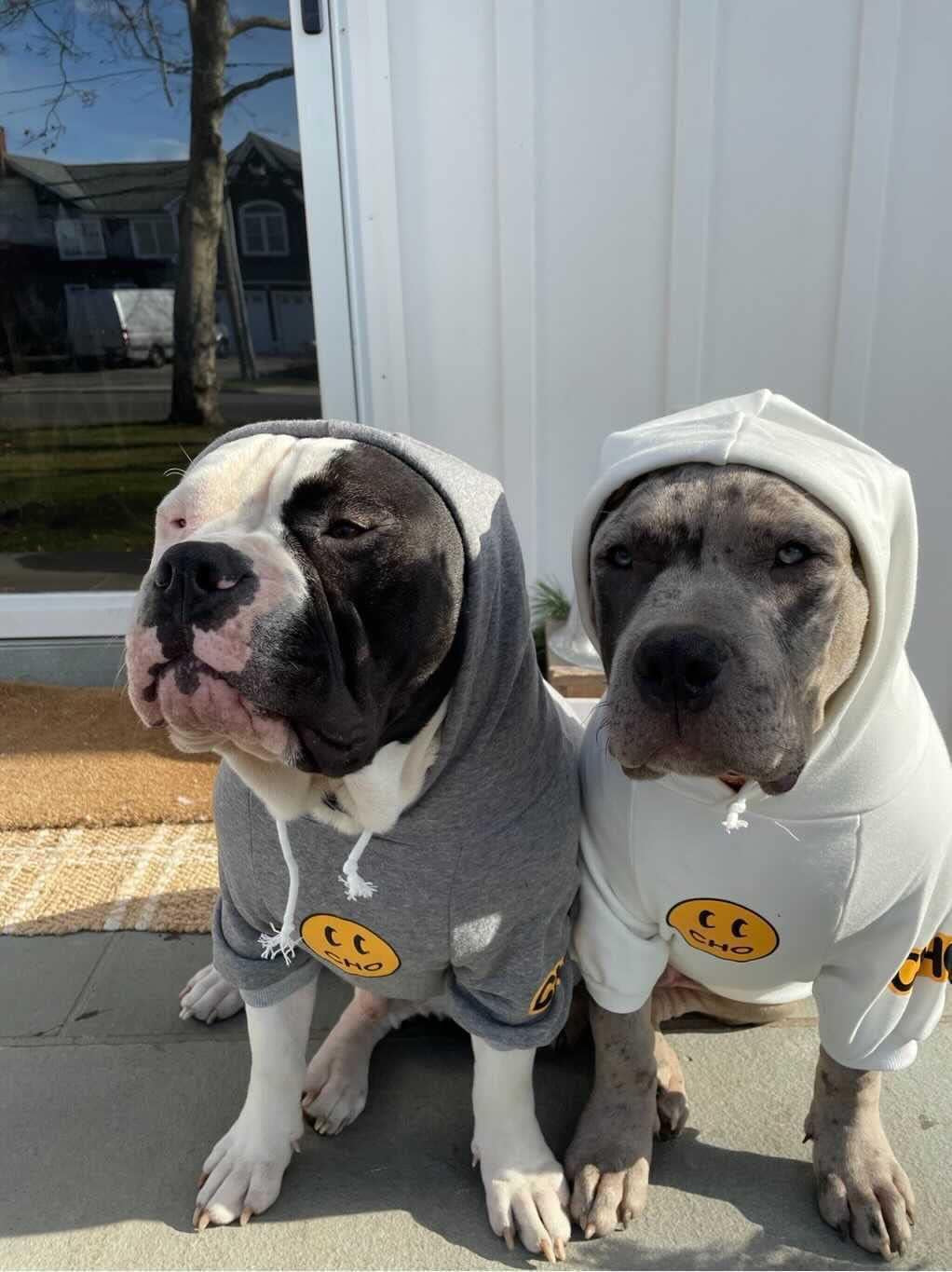 Smiley Face Dog Hoodie – Stylish Cotton Sweatshirt for Dogs & Cats, Cozy Pet Outfit for Small to Large Breeds (L, White)