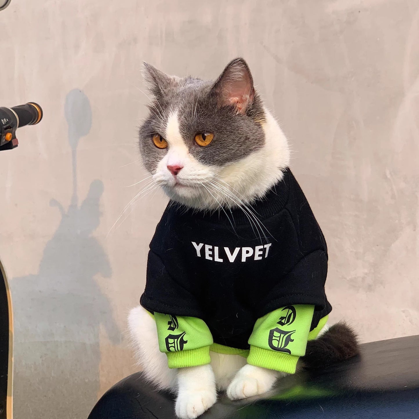 Cozy Autumn & Winter Pet Clothes – Stylish Outfits for Small Dogs & Cats