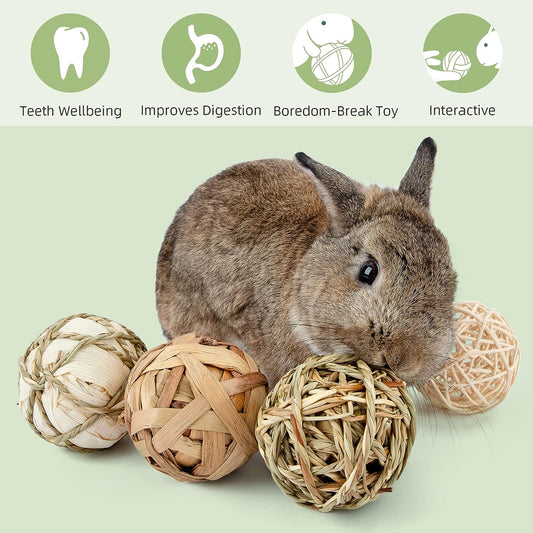 Small Animal Activity & Chew Balls – Fun Rolling Toys for Rabbits, Guinea Pigs, and Chinchillas